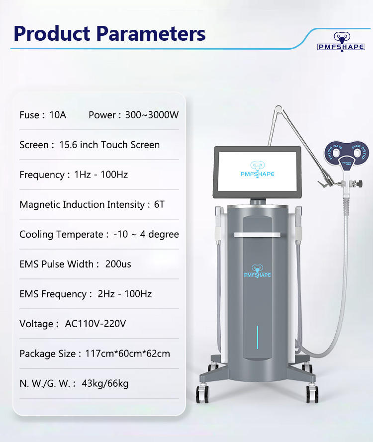 3 in 1 PMST Physio Therapy Ems Non Vacuum Cryotherapy Machine for Pain Relief 5
